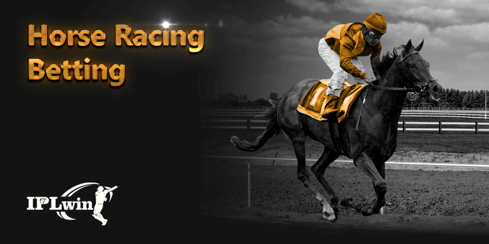 Cassino bet365